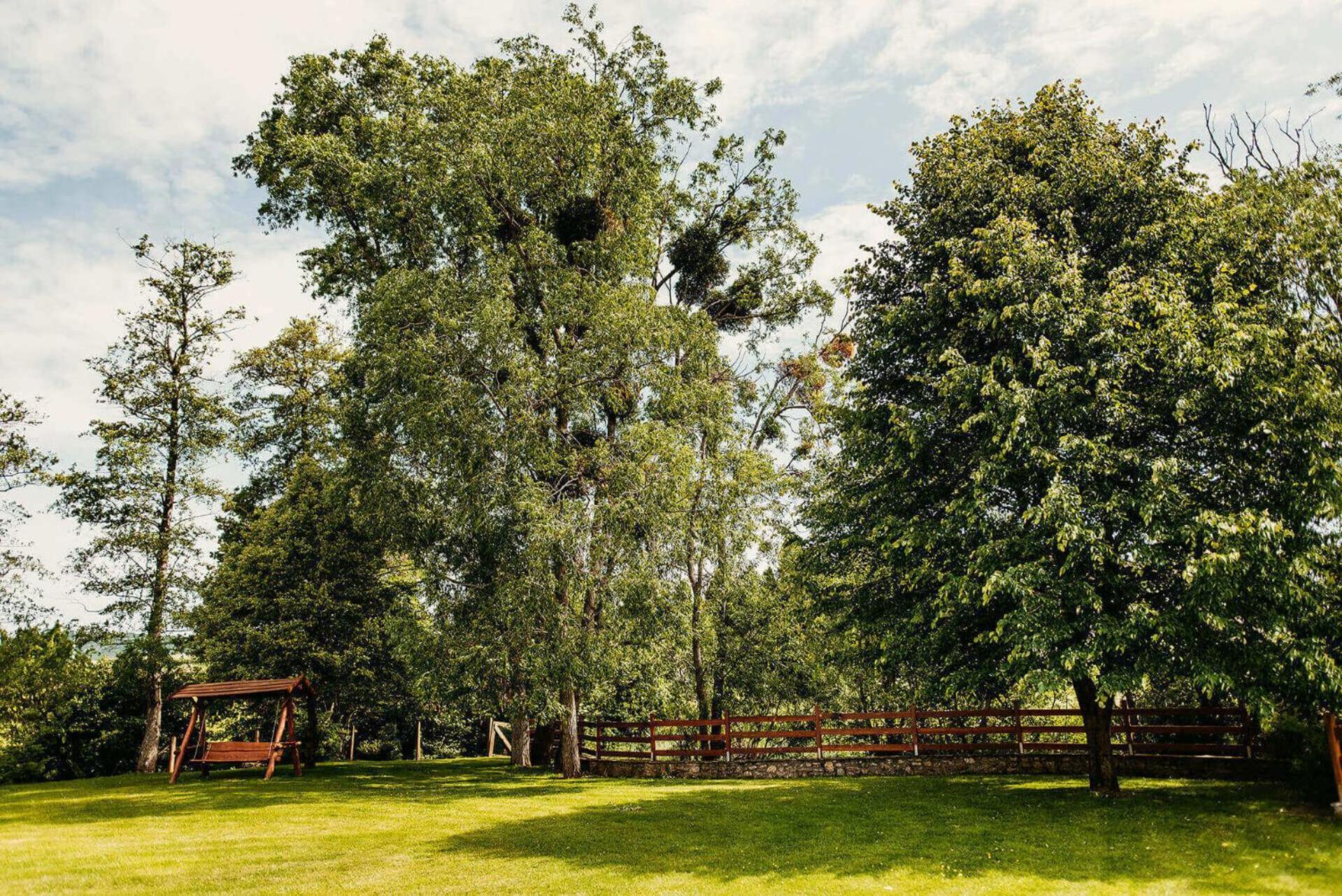 Kakukk Vendeglo Panzio Bed & Breakfast Bánd Eksteriør bilde